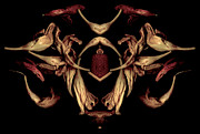 Dried Flowers with Strawberries Two Digital Art by Karen Musick