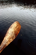 Drifting  Photograph by Doug Gibbons