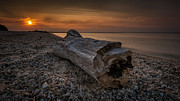 Driftwood Beach Photograph by Alissa Beth Photography
