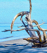 Driftwood on Jekyll Painting by DB Hayes