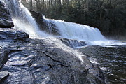 Dupont Forest Hooker Falls Photograph by Allen Nice-Webb