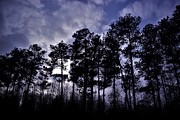 Dusk Settles Photograph by Jason Denis