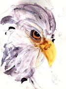 Eagle Painting by Dawn Derman Eagle Painting by Dawn Derman