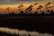 Eagles Nest Sunset at Saint Marks Photograph by DB Hayes
