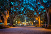 Early Morning Savannah Photograph by Matt Hammerstein
