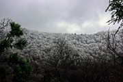 Early Snow Photograph by Robert Wilder Jr