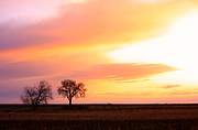 Easter Morning Sunrise Photograph by James BO Insogna