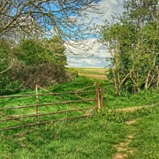 Easter Walk Photograph by Vicki Field