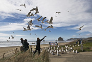 Eating on the Fly Photograph by John Christopher