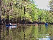Ebenezer Creek Photograph by Vincent Green