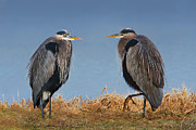 Edge of the Pond Photograph by John Christopher Edge of the Pond Photograph by John Christopher