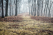 Eerie Photograph by Andrea Silies