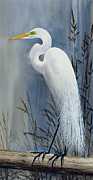 Egrets Wonder Painting by James Williamson Egrets Wonder Painting by James Williamson