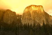 El Capitan Yosemite Valley Photograph by Garry Gay