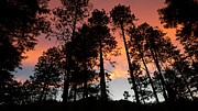 El Fuego de Santa Fe Photograph by Skip Hunt El Fuego de Santa Fe Photograph by Skip Hunt