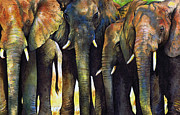 Elephant Herd Painting by Paul Dene Marlor