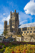 Ely Cathedral and Garden Photograph by James Billings