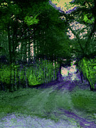 Enchanted Way Photograph by Julie Lueders 