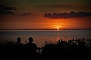 Enjoying The Sunset Photograph by Ronald Lutz Enjoying The Sunset Photograph by Ronald Lutz