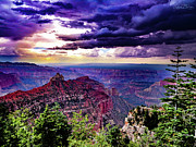 Enlightenment Photograph by Adam Morsa Enlightenment Photograph by Adam Morsa