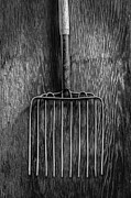 Ensilage Fork Up on Plywood in BW 66 Photograph by YoPedro