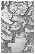 Entangled Drawing by Jonathan Baldock