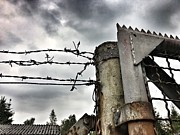 Entrance to the old ammunition depot of the Belgian army Photograph by Eva-Maria Di Bella