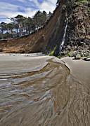 Ephemera Photograph by John Christopher