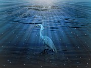 Eternity Photograph by Deborah Kunesh
