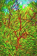Exaltation Of Springtime Digital Art by Joel Bruce Wallach