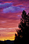 Exploding Color Photograph by Loni Collins