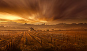 Explosion Photograph by Jorge Maia
