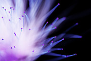Explosive Photograph by Mike Eingle