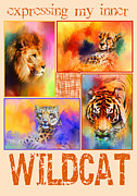 Expressing My Inner Wildcat Photograph by Jai Johnson