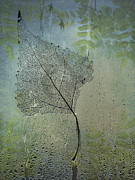 Expressiveness  Photograph by Andrea Kollo