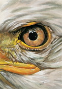 Bald Eagle Gaze Painting by Barbara Keith
