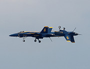 F/A 18 Hornet In Tandem Photograph by Robert Banach