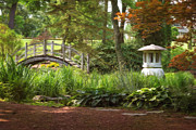 Fabyans' Japanese gardens  Photograph by Rudy Viereckl