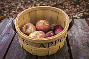Fall Apple Basket Photograph by Alissa Beth Photography