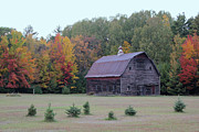 Fall Barn 2 Photograph by Brook Burling