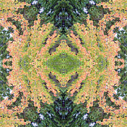 Fall Color Kaleidoscope Photograph by Bill Barber