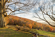 Fall Colors at the Moses Cone Estate Photograph by M C Hood