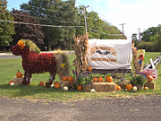Fall Harvest I Photograph by Newwwman