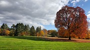 Fall in Brimfield OH 2016 Photograph by Yazid Ismail