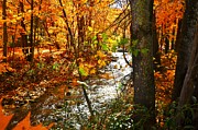 Fall in the Mountains Photograph by Chuck Brown