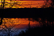 Fall Sunset Photograph by Ed Peterson
