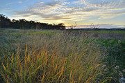 Fall Sunset in Glacial Park Photograph by Ray Mathis