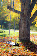 Fall Swing Photograph by Steven David Roberts