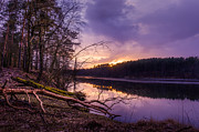 Fallen to the setting sun Photograph by Dmytro Korol