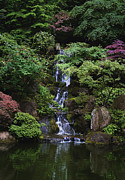 Falls in the Green Photograph by John Christopher